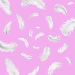 Image of Fluffy bird feathers falling on pink background