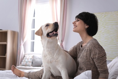 Photo of Adorable yellow labrador retriever with owner on bed indoors