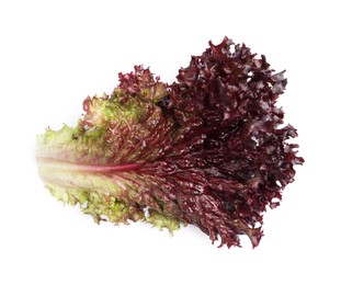 Photo of Leaf of fresh red coral lettuce isolated on white, top view