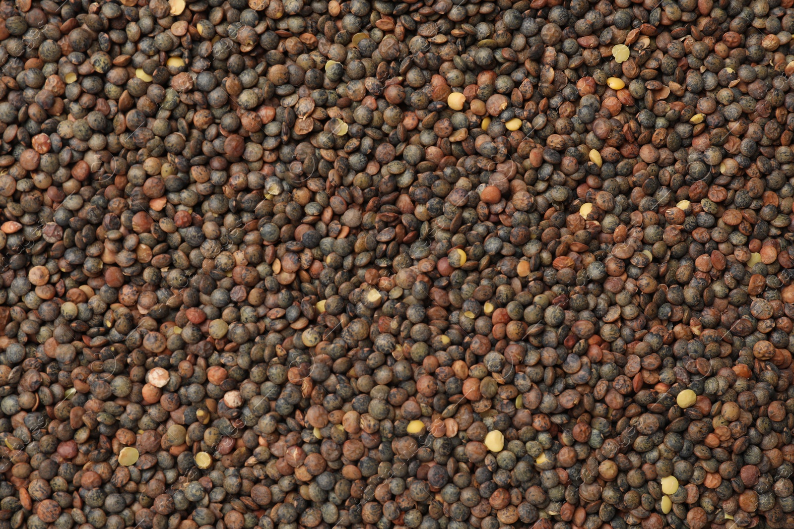 Photo of Heap of raw lentils as background, top view