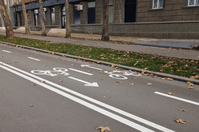 Photo of Two way bicycle lane with white signs on asphalt