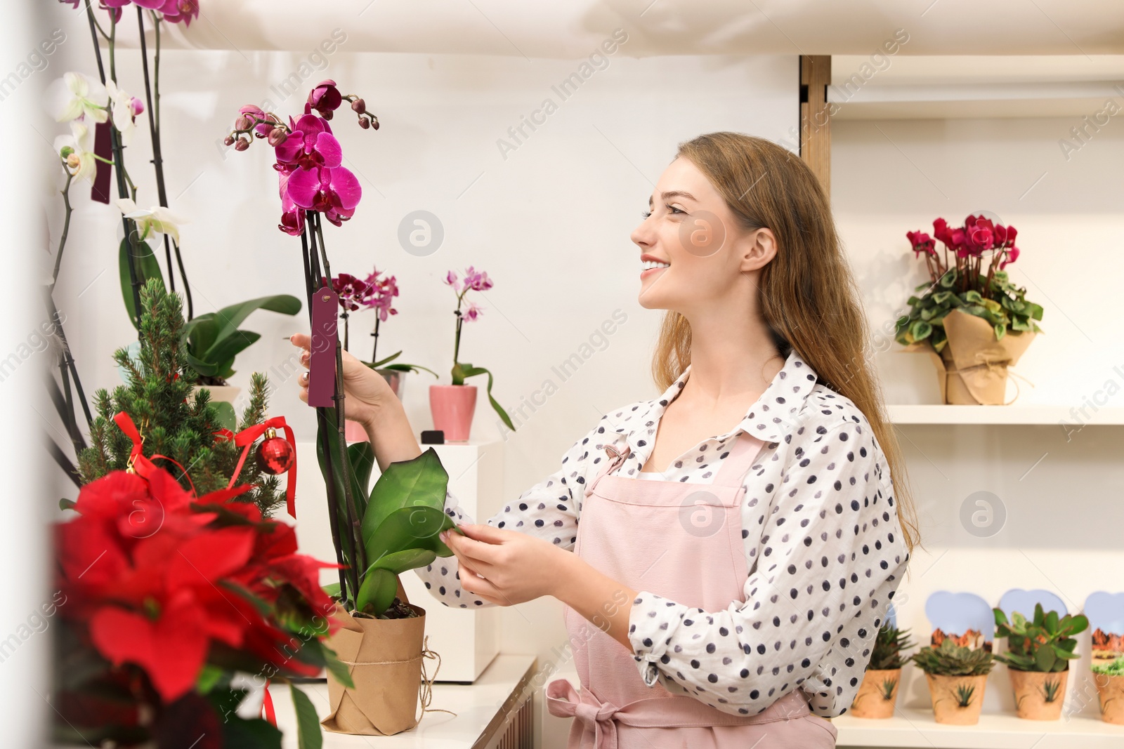 Photo of Professional female florist in apron at workplace