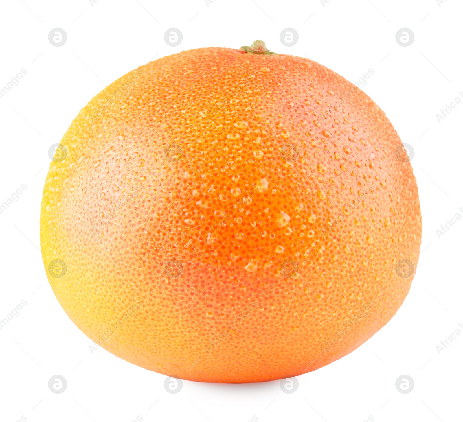 Photo of Fresh ripe grapefruit with water drops isolated on white. Citrus fruit