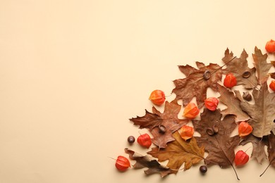 Dry autumn leaves, physalises and acorns on beige background, flat lay. Space for text