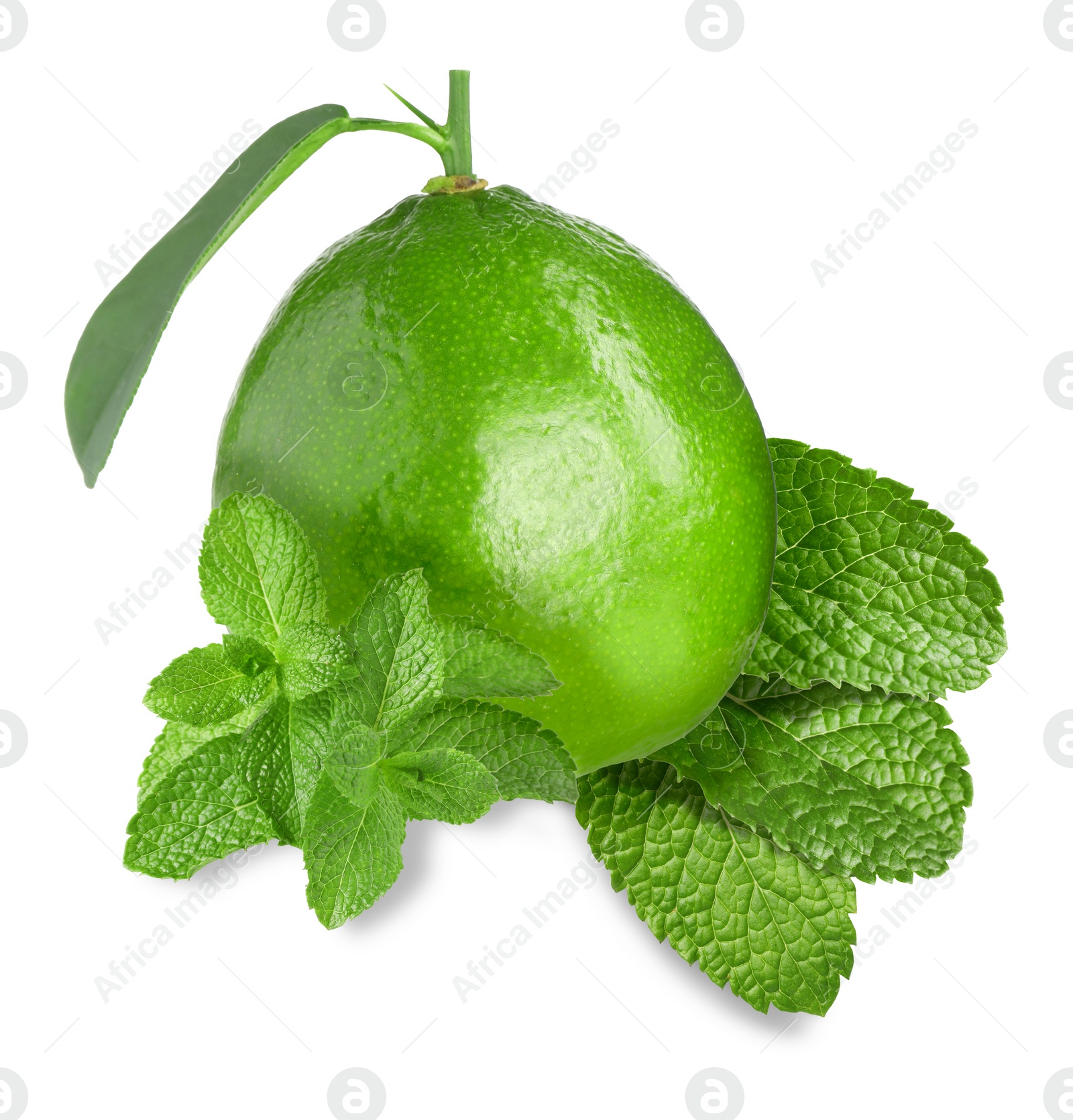 Image of Fresh ripe lime and green mint leaves isolated on white