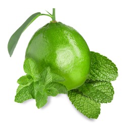 Image of Fresh ripe lime and green mint leaves isolated on white