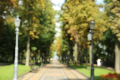 Blurred view of quiet park on sunny day