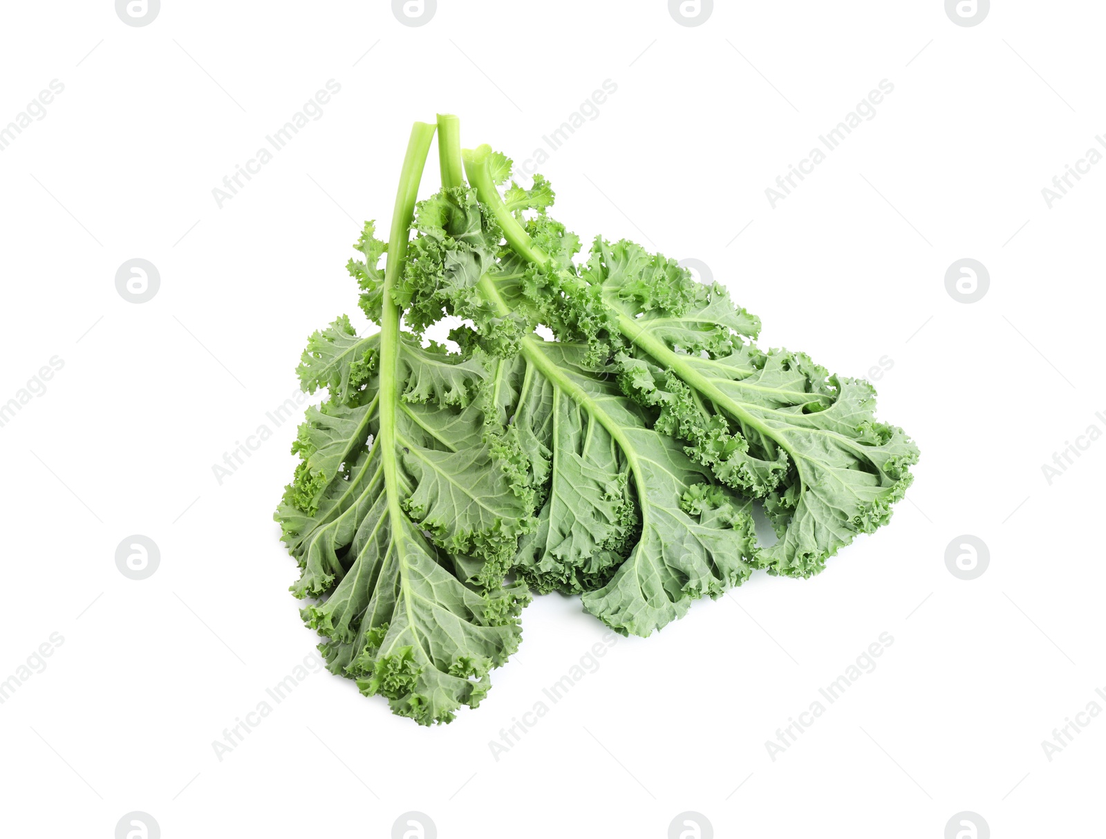 Photo of Fresh green kale leaves isolated on white