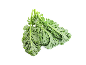 Fresh green kale leaves isolated on white