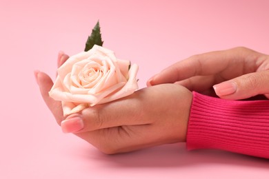 Photo of Woman holding beautiful rose on pink background, closeup