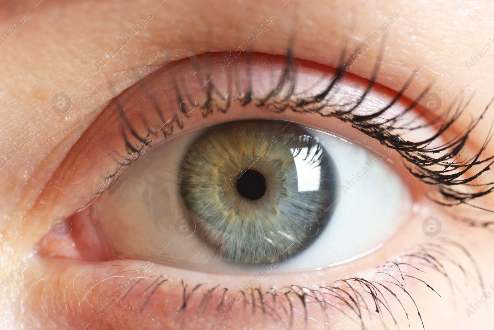 Photo of Macro photo of woman with beautiful eyes