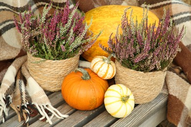 Photo of Beautiful composition with heather flowers in pots and pumpkins on wooden bench outdoors