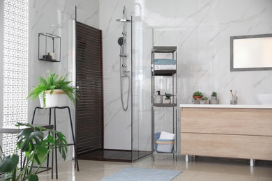 Bathroom interior with shower stall, counter and houseplants. Idea for design