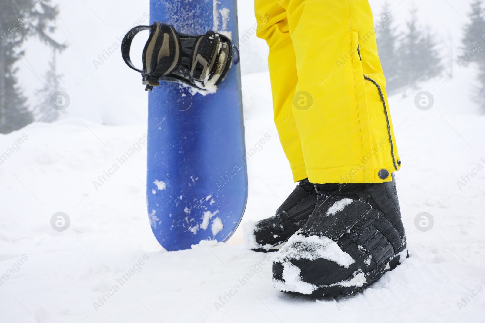 Photo of Young woman with snowboard wearing winter sport clothes outdoors, closeup