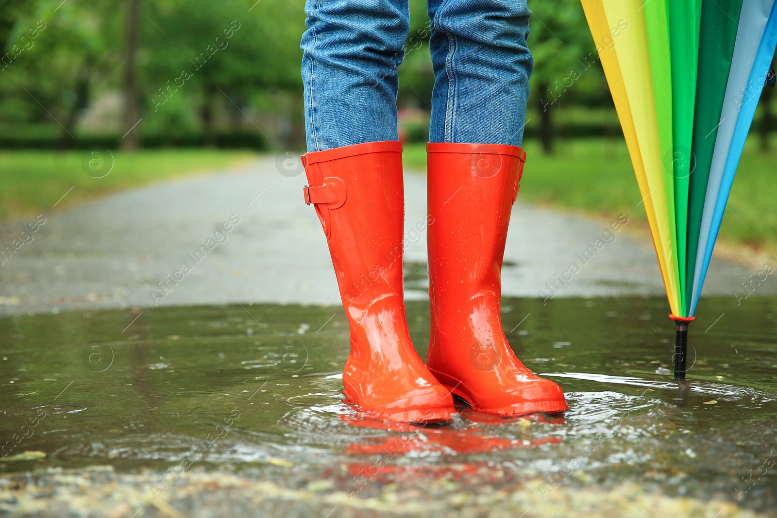 Photo of Woman with umbrella and rubber boots in puddle, closeup. Rainy weather