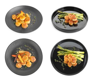 Image of Set of delicious fried scallops isolated on white, top and side views