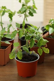 Photo of Seedlings growing in plastic containers with soil on wooden table