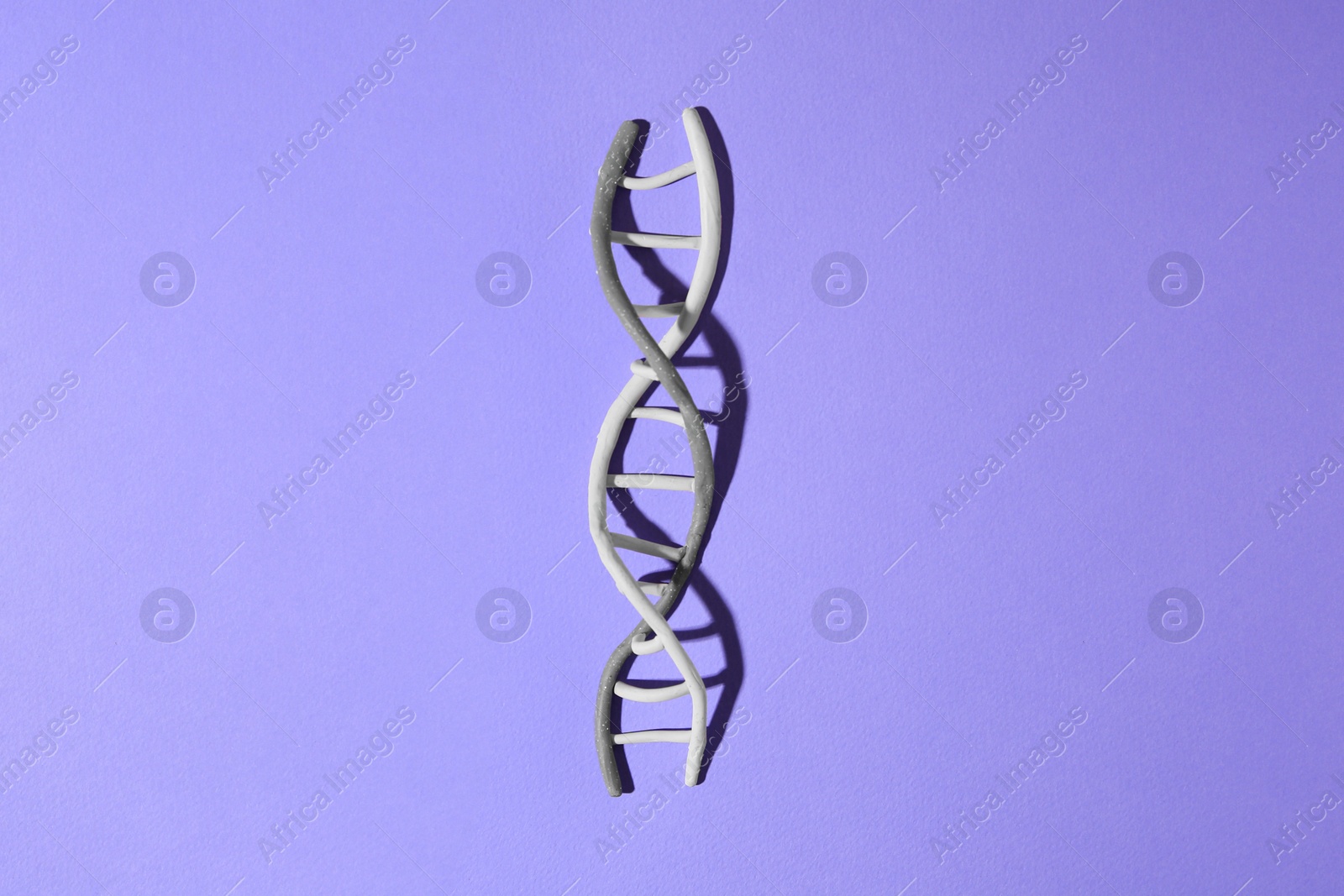 Photo of Plasticine model of DNA molecular chain on violet background, top view