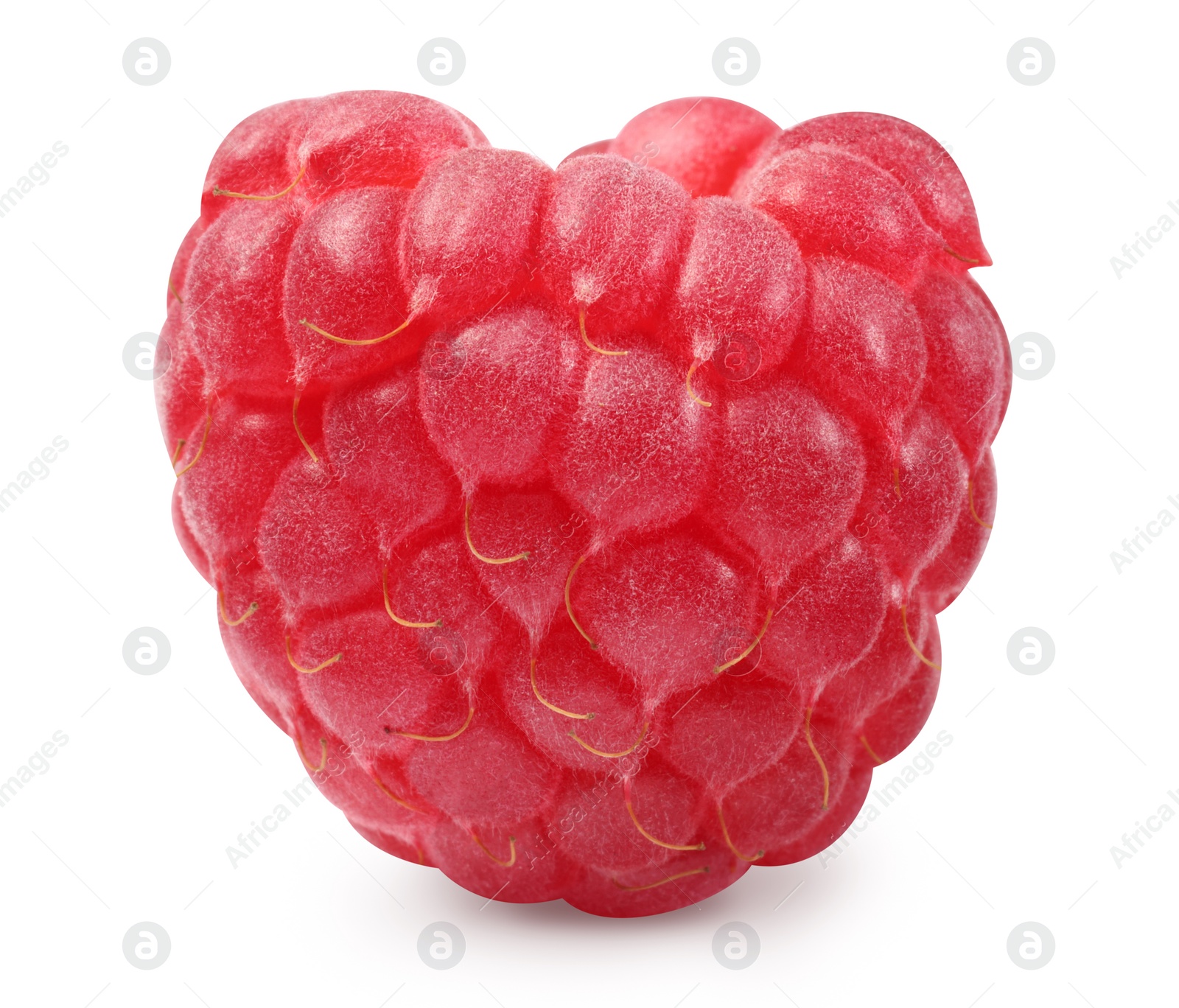 Photo of One tasty ripe raspberry isolated on white