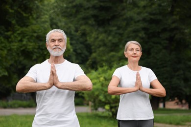 Photo of Senior couple practicing yoga in park. Healthy lifestyle