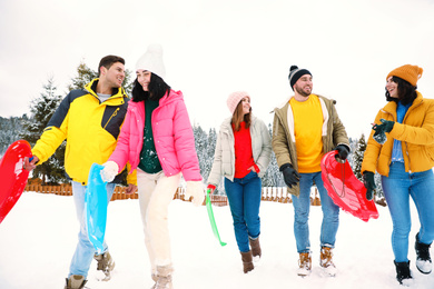 Group of friends outdoors on snowy day. Winter vacation