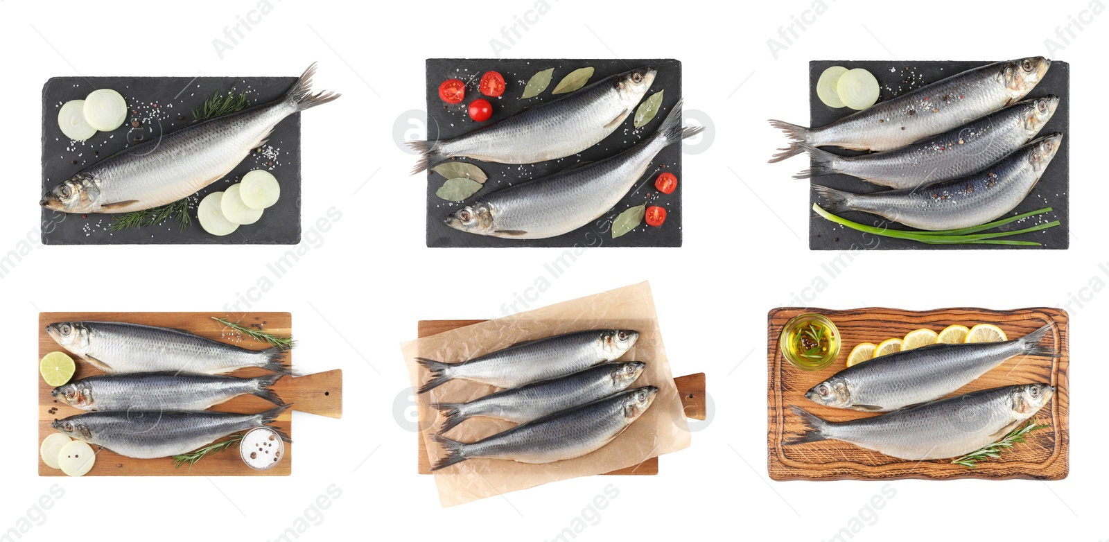 Image of Set with tasty salted herrings on white background, top view. Banner design