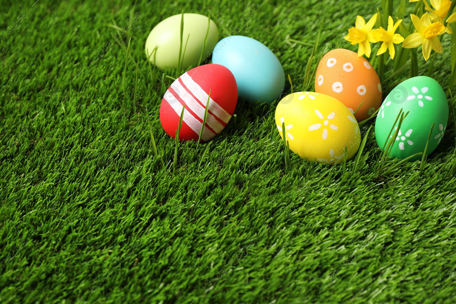 Photo of Colorful Easter eggs and narcissus flowers in green grass. Space for text