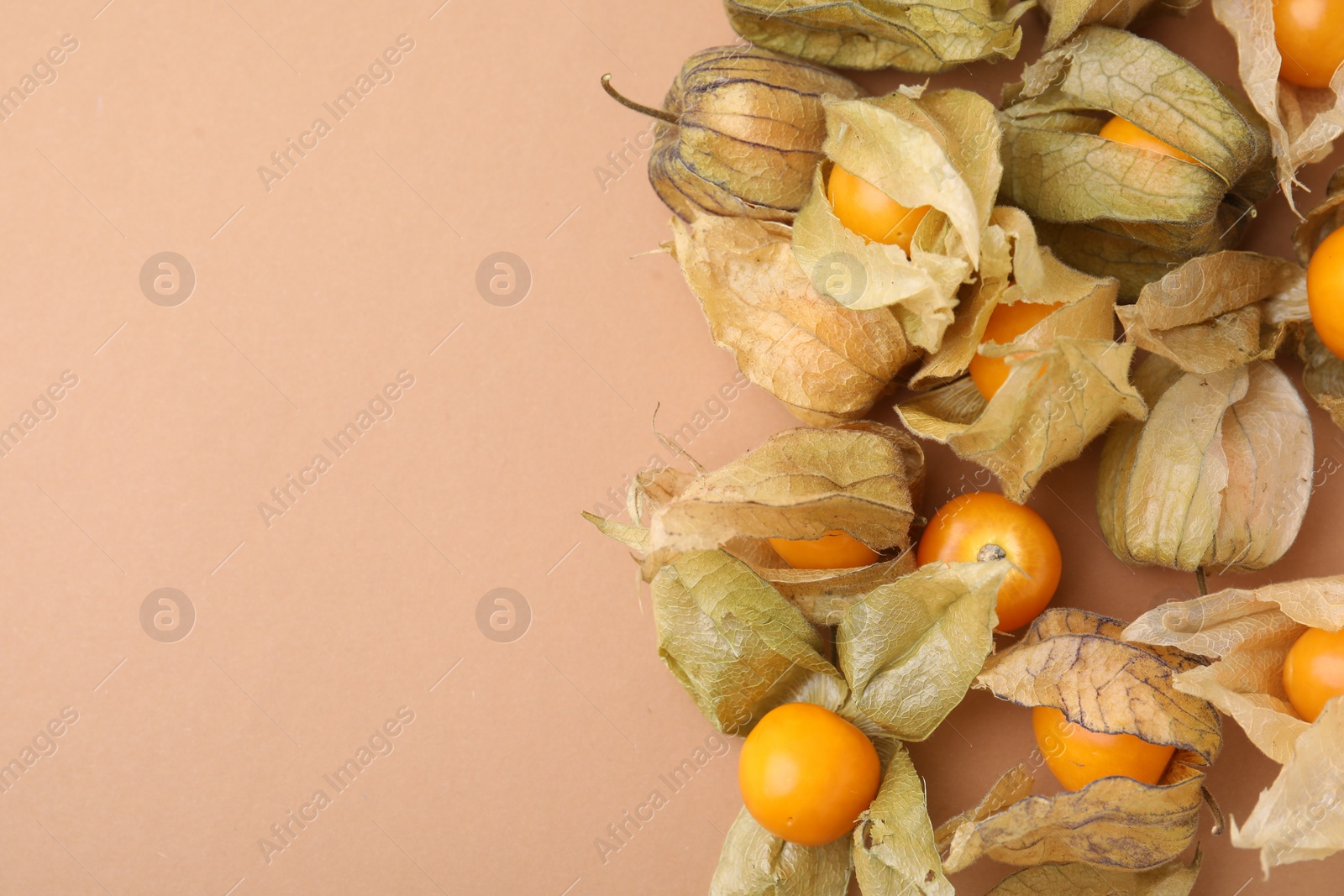 Photo of Ripe physalis fruits with calyxes on beige background, flat lay. Space for text