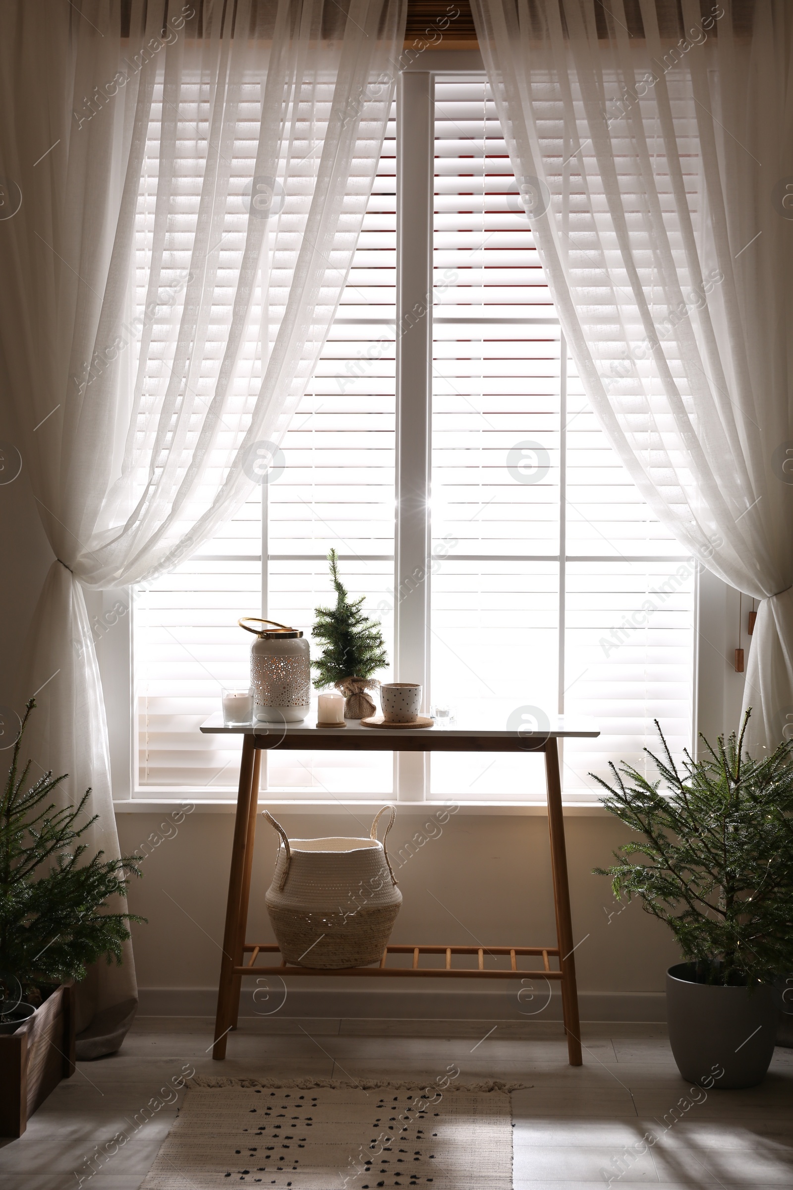 Photo of Potted fir trees in living room. Christmas interior design