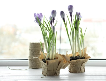 Beautiful spring crocus flowers in pots on window sill, space for text