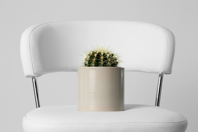 Chair with cactus isolated on white. Hemorrhoids concept