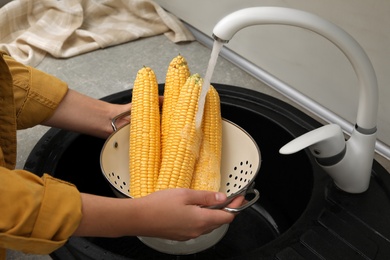 Woman washing corn cobs in sink, closeup