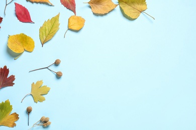 Photo of Flat lay composition with autumn leaves on light blue background. Space for text