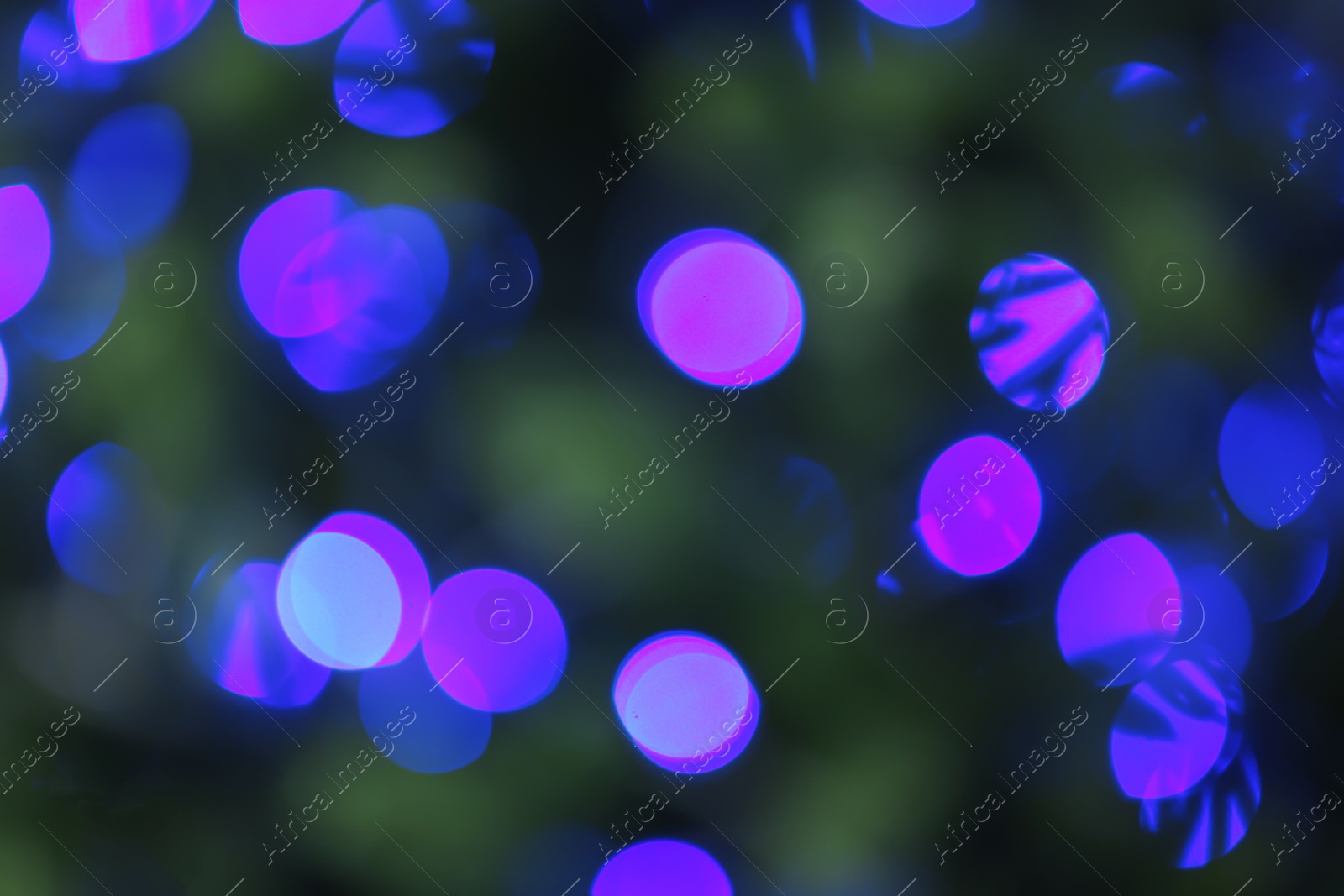 Photo of Abstract background with blurred violet Christmas lights, bokeh effect