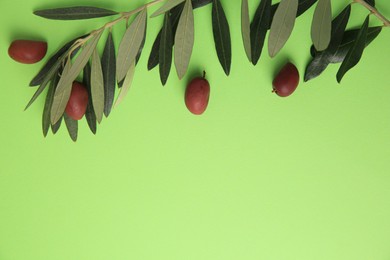 Fresh olives and leaves on light green background, flat lay. Space for text