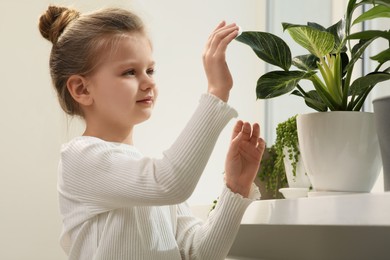 Photo of Cute little girl wiping plant's leaves with cotton pad on windowsill at home. House decor