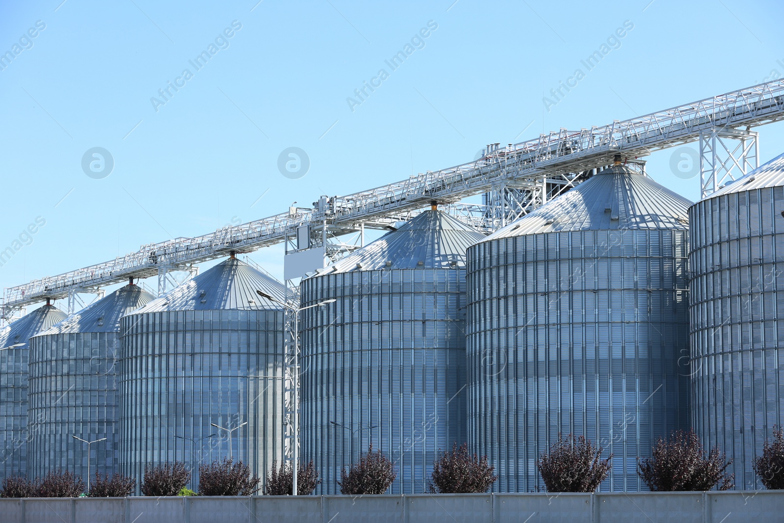 Photo of View of grain elevator against blue sky on sunny day. Cereal farming