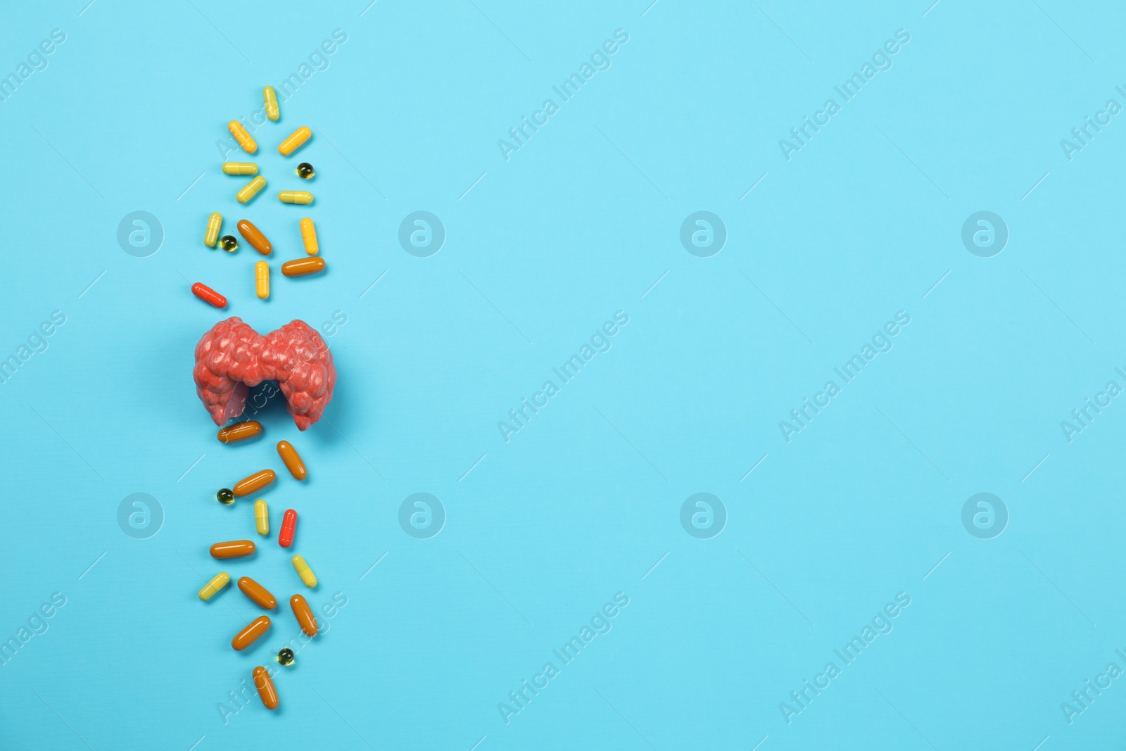 Photo of Endocrinology. Capsules and model of thyroid gland on light blue background, top view. Space for text