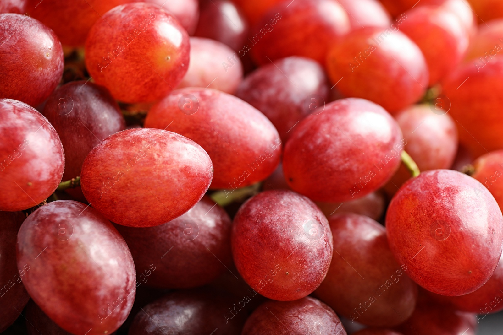 Photo of Fresh ripe juicy pink grapes as background, closeup view