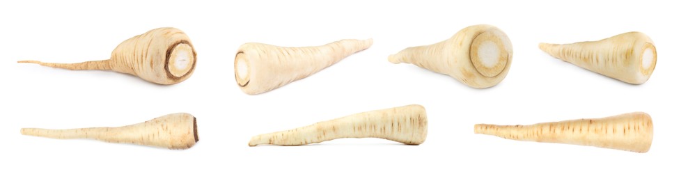 Image of Collage with fresh parsnips on white background