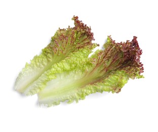 Leaves of fresh red coral lettuce isolated on white, top view