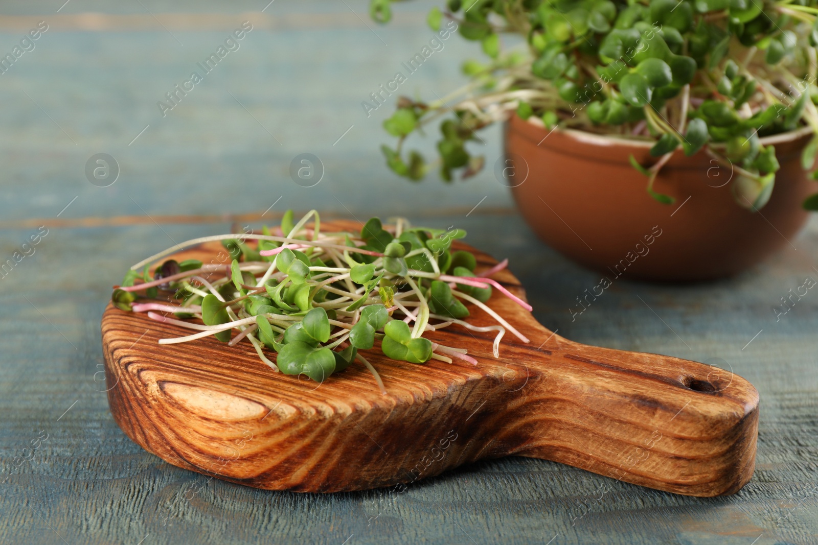 Photo of Board with cut fresh radish microgreens on light blue wooden table