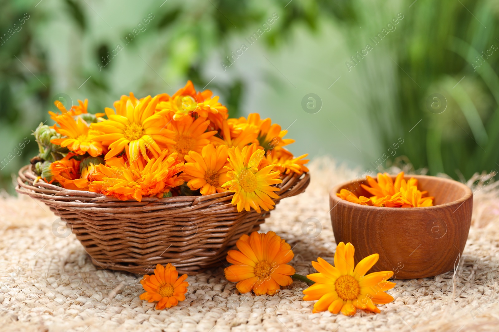 Photo of Many beautiful fresh calendula flowers on table