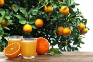 Image of Fresh orange juice on wooden table in orchard. Space for text