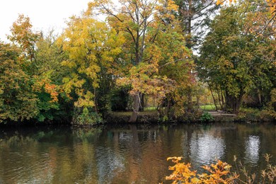 Photo of Picturesque view of river and trees in beautiful park. Autumn season