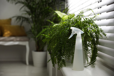 Photo of Beautiful plants and spray bottle on window sill at home. Space for text