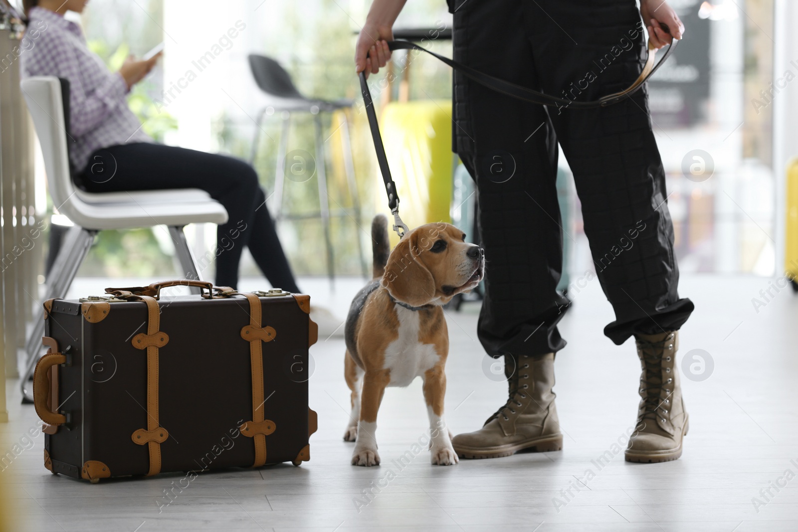 Photo of Officer with dog near suitcase in airport, closeup