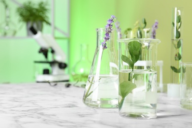 Laboratory glassware with different plants on table indoors. Space for text