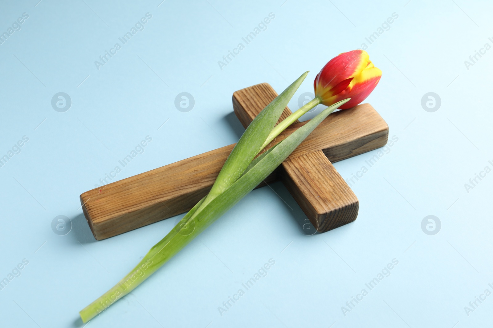 Photo of Easter - celebration of Jesus resurrection. Wooden cross and tulip on light blue background, closeup