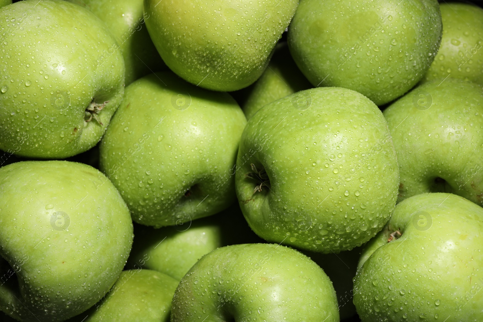 Photo of Fresh green apples with water drops as background, closeup